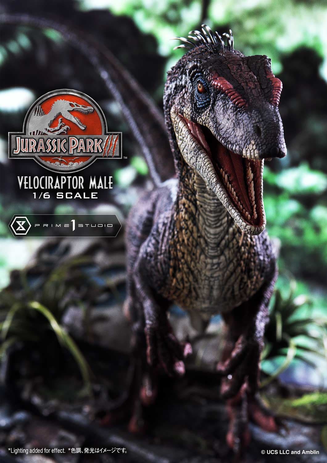 Velociraptor Male - Legacy Museum Collection (bonus version)