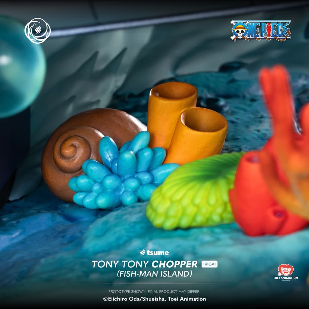 Tony Tony Chopper - Vue 9