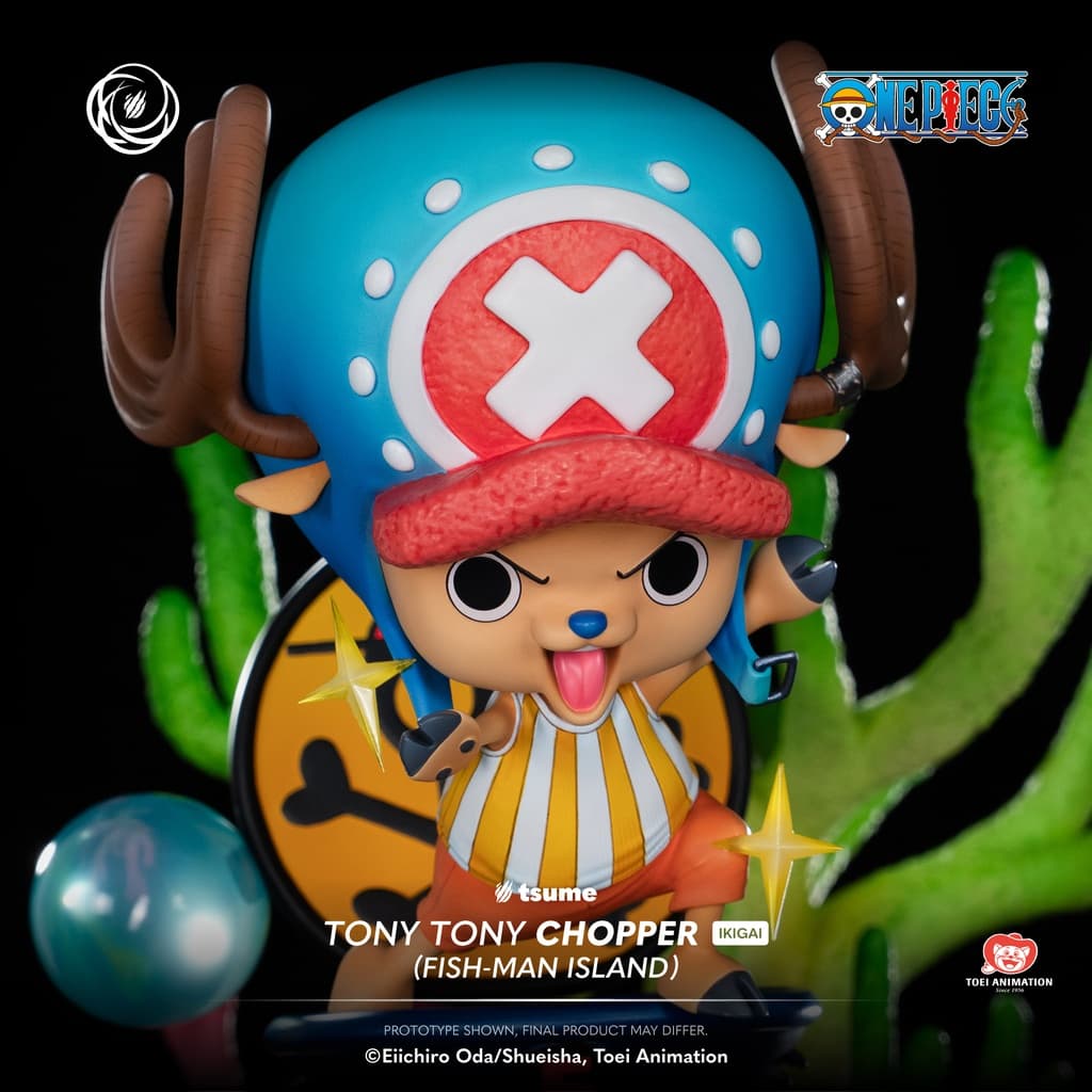 Tony Tony Chopper - Vue 13
