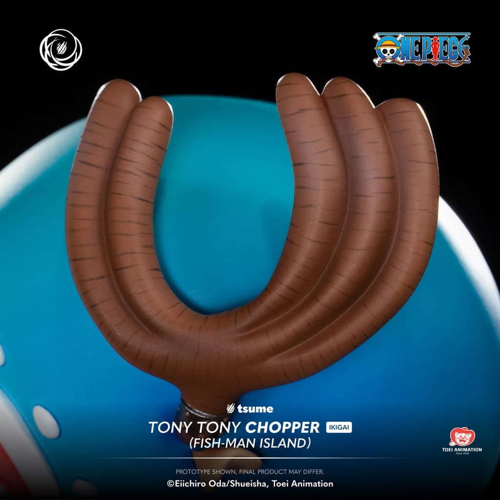 Tony Tony Chopper - Vue 14