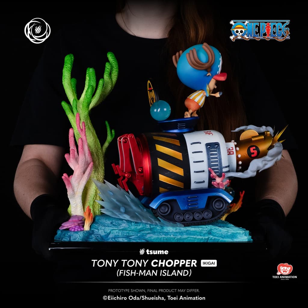 Tony Tony Chopper - Vue 15