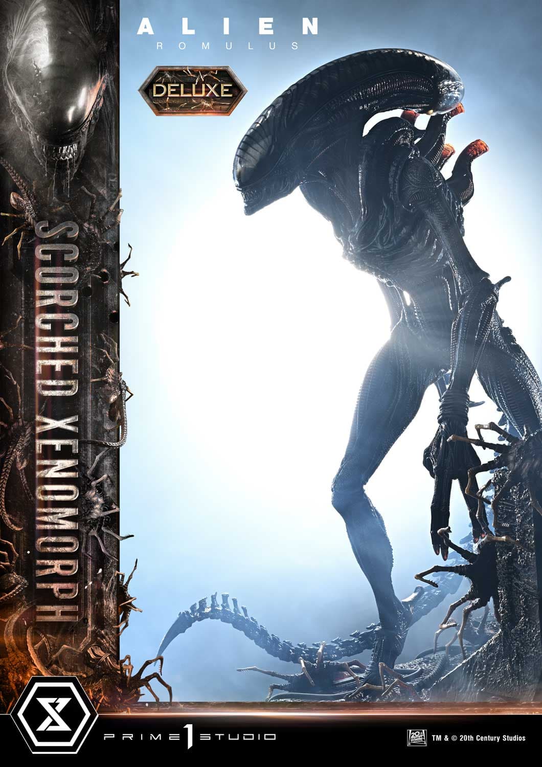 Scorched Xenomorph (Version Deluxe Bonus) - Museum Masterline - Vue 7