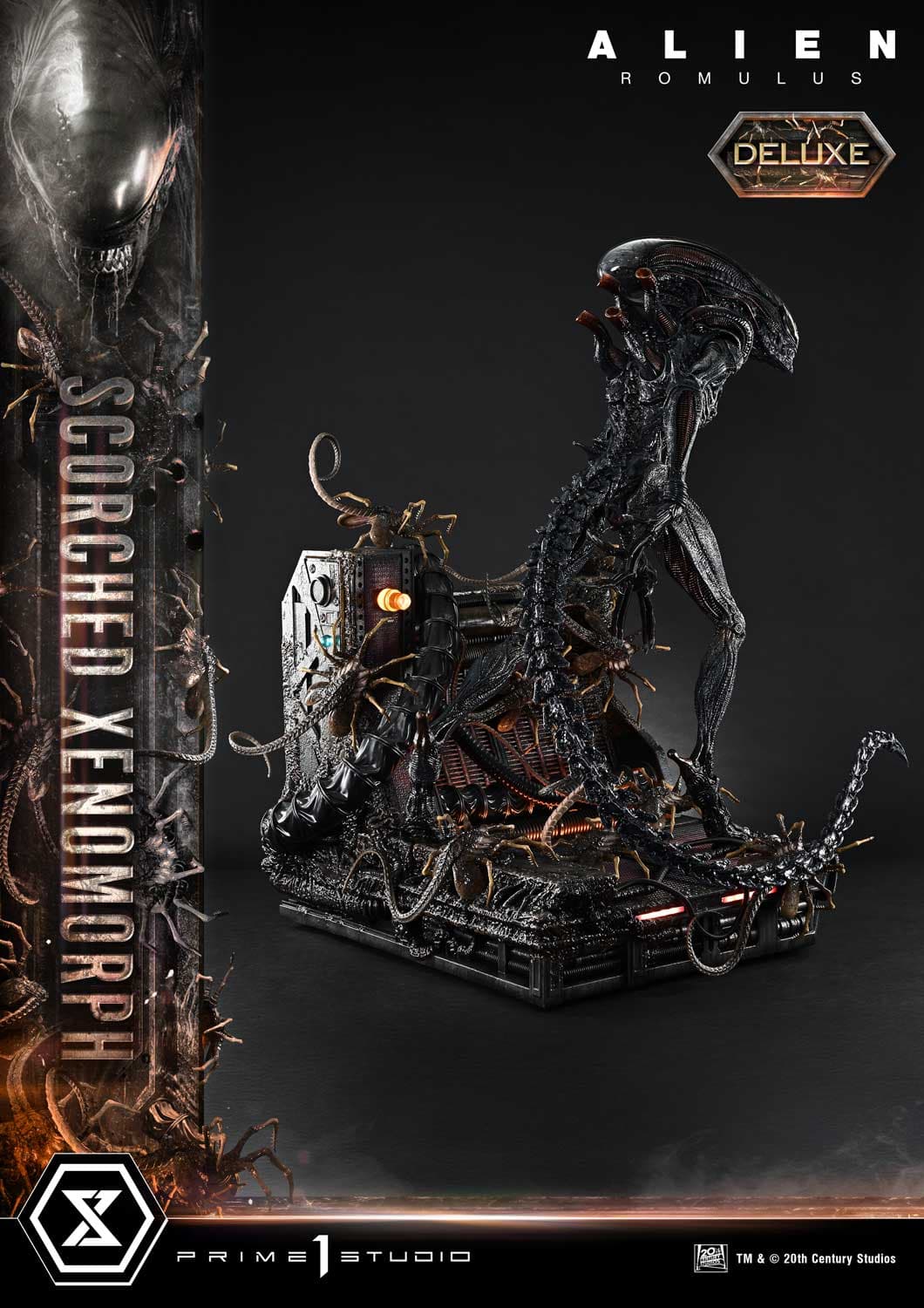 Scorched Xenomorph (Version Deluxe Bonus) - Museum Masterline - Vue 19