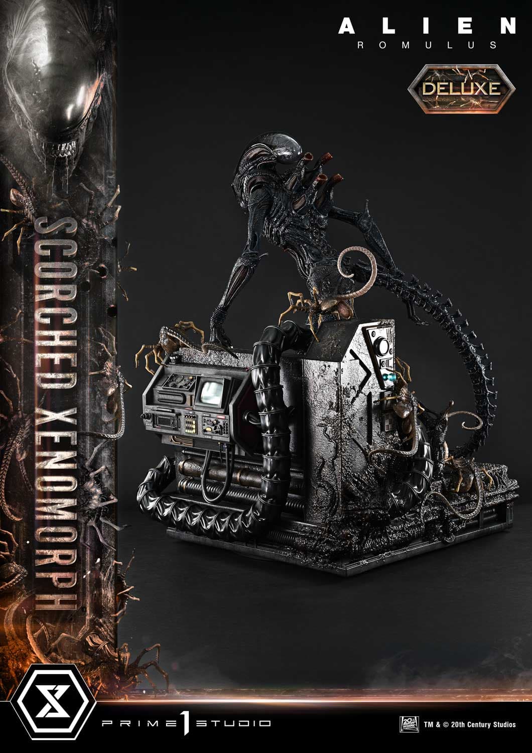 Scorched Xenomorph (Version Deluxe Bonus) - Museum Masterline - Vue 20