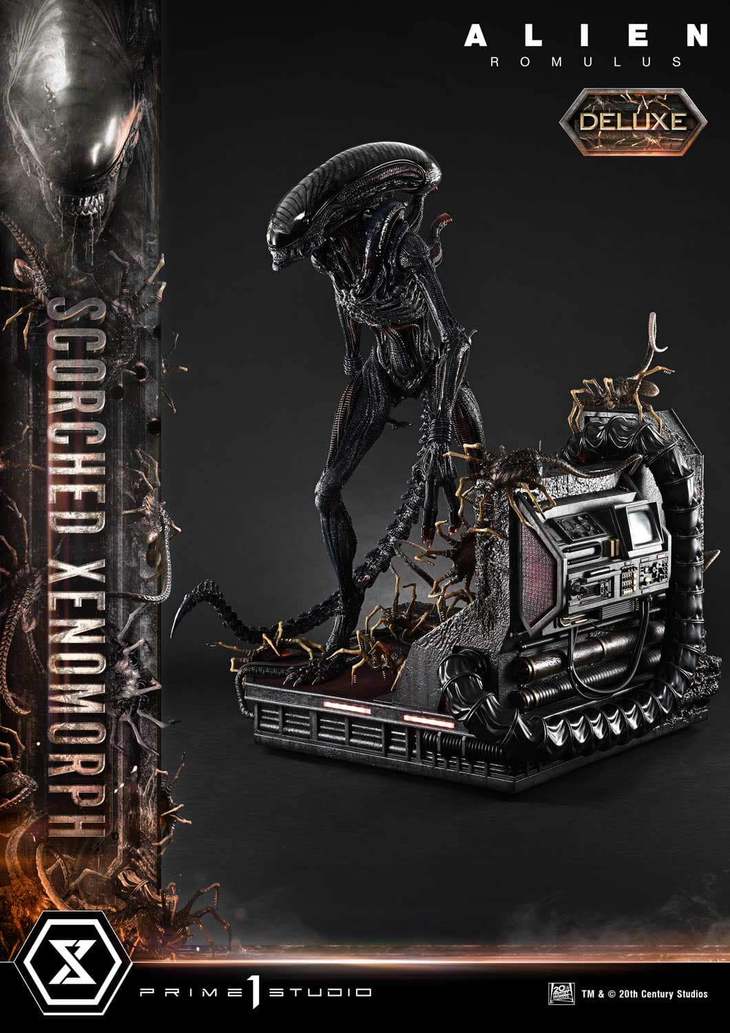 Scorched Xenomorph (Version Deluxe Bonus) - Museum Masterline - Vue 21