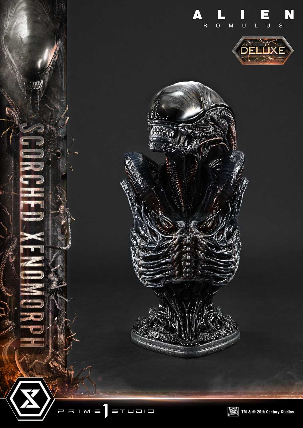 Scorched Xenomorph (Version Deluxe Bonus) - Museum Masterline - Vue 22
