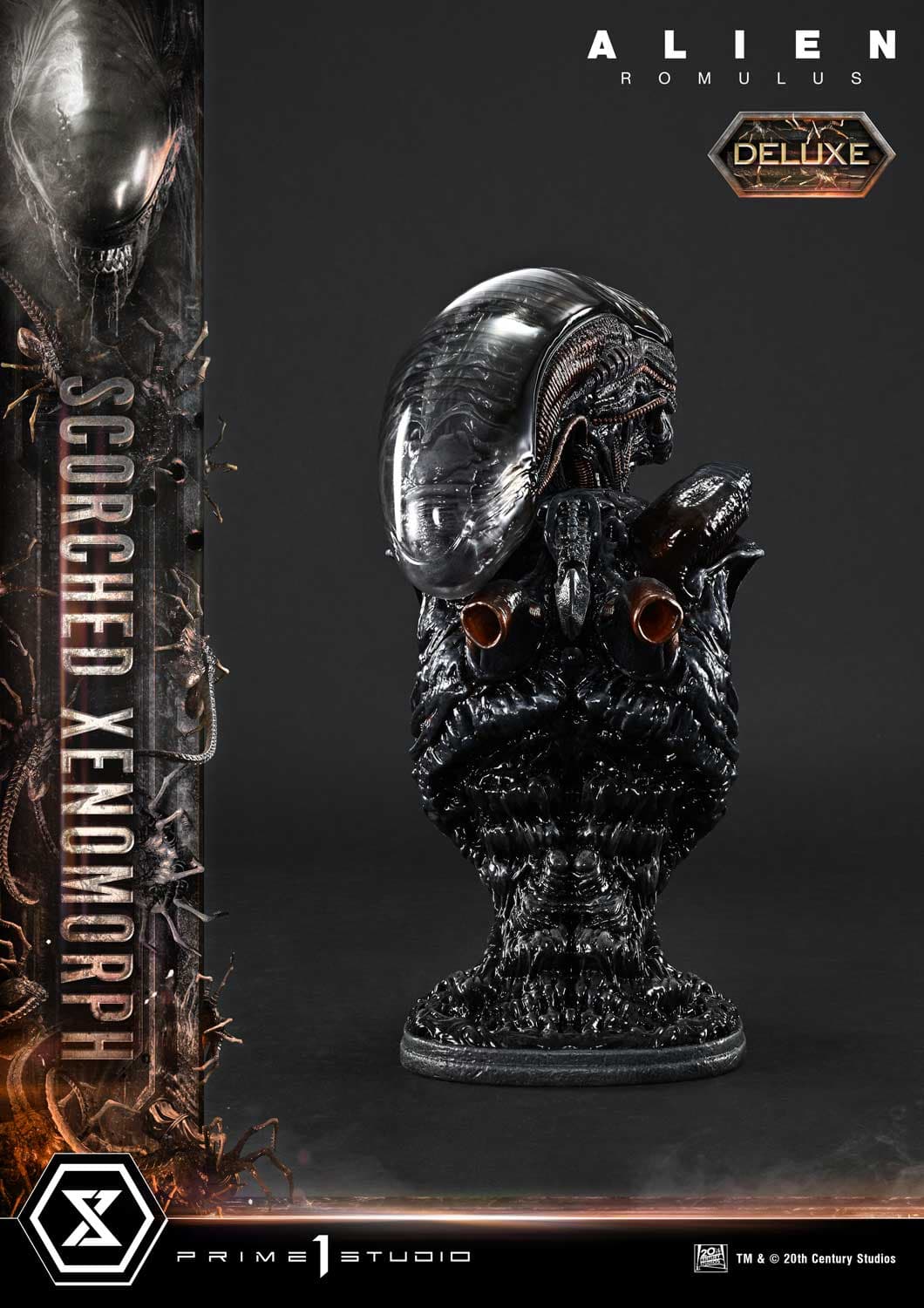 Scorched Xenomorph (Version Deluxe Bonus) - Museum Masterline - Vue 23