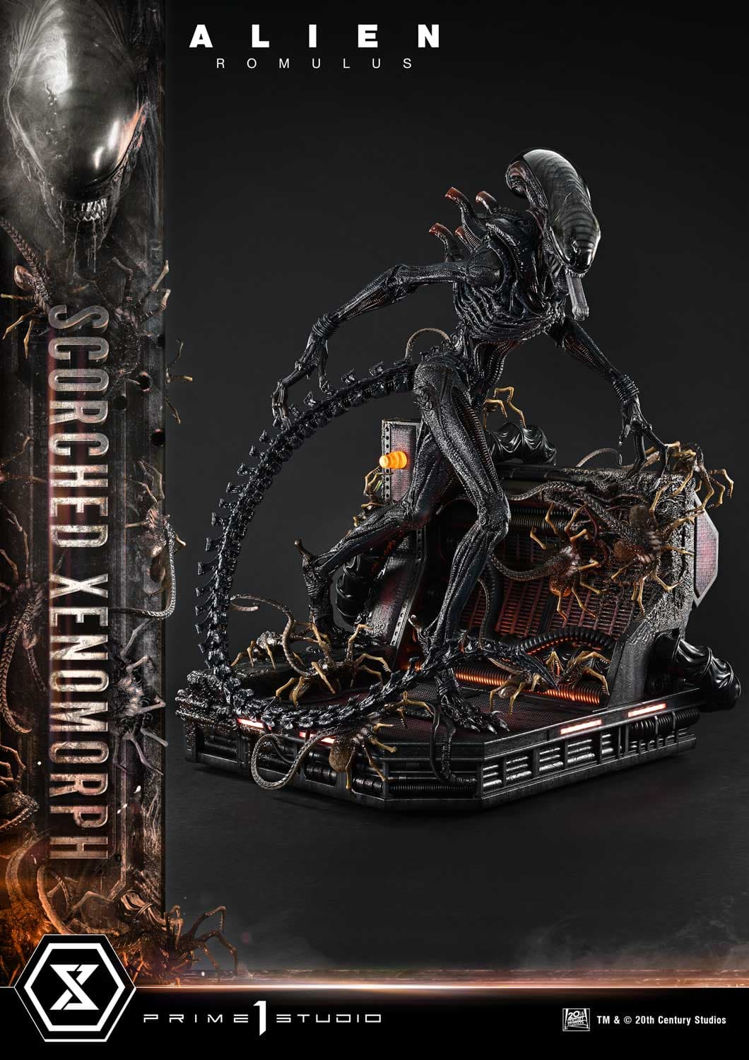 Scorched Xenomorph (Version Deluxe Bonus) - Museum Masterline - Vue 24