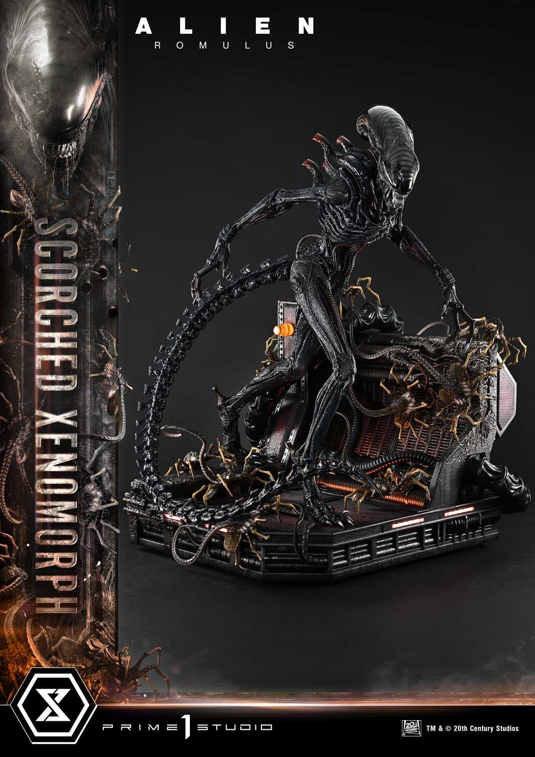Scorched Xenomorph (Version Deluxe Bonus) - Museum Masterline - Vue 25
