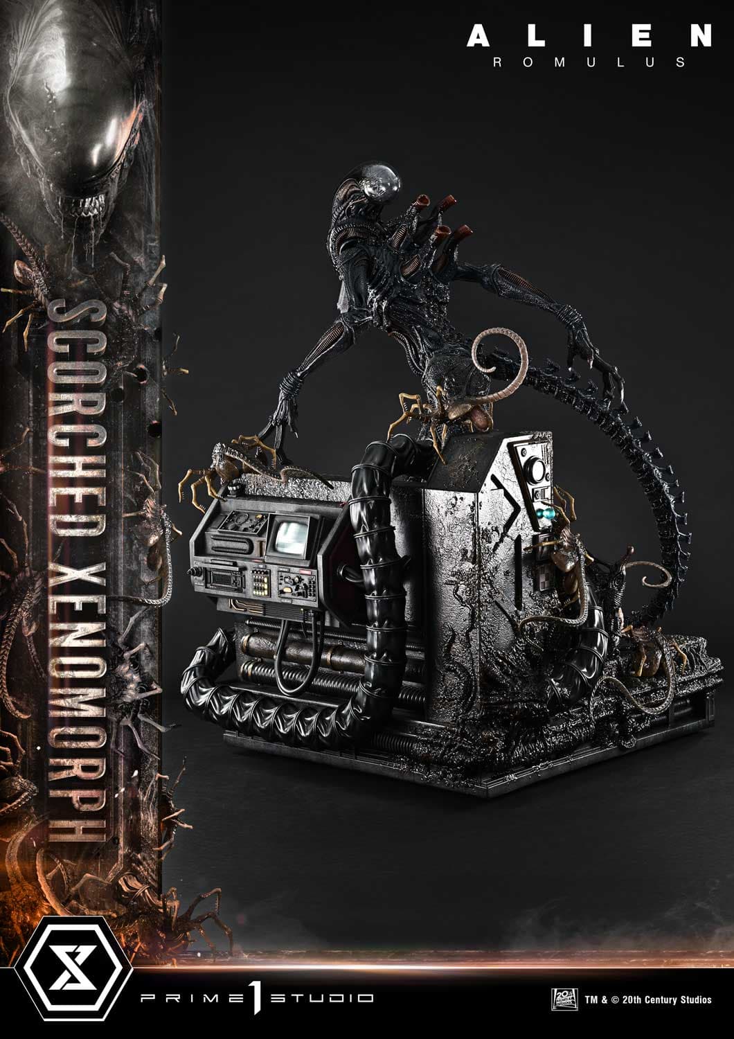 Scorched Xenomorph (Version Deluxe Bonus) - Museum Masterline - Vue 28