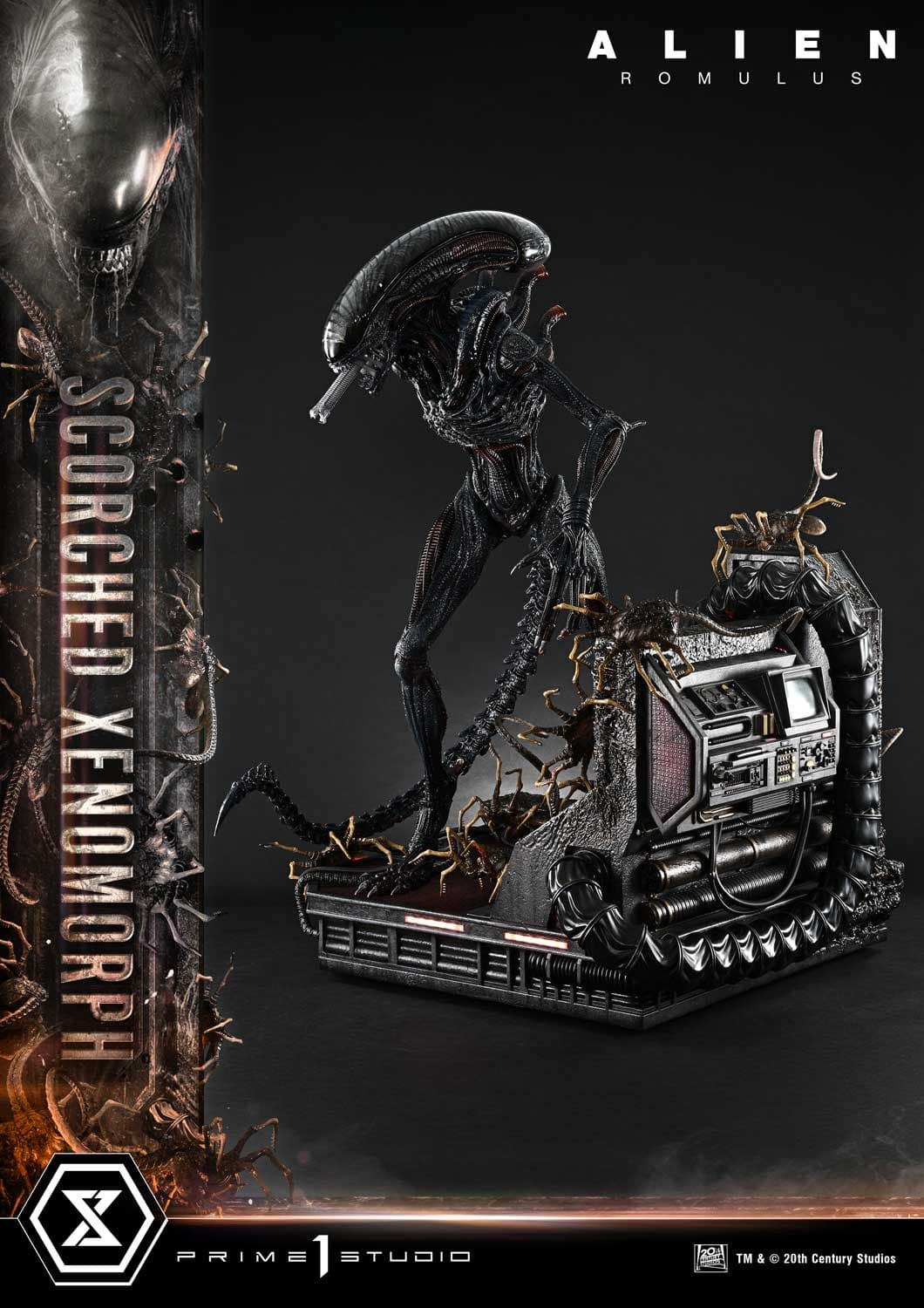 Scorched Xenomorph (Version Deluxe Bonus) - Museum Masterline - Vue 29