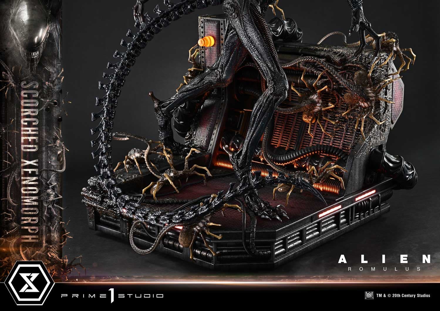 Scorched Xenomorph (Version Deluxe Bonus) - Museum Masterline - Vue 37