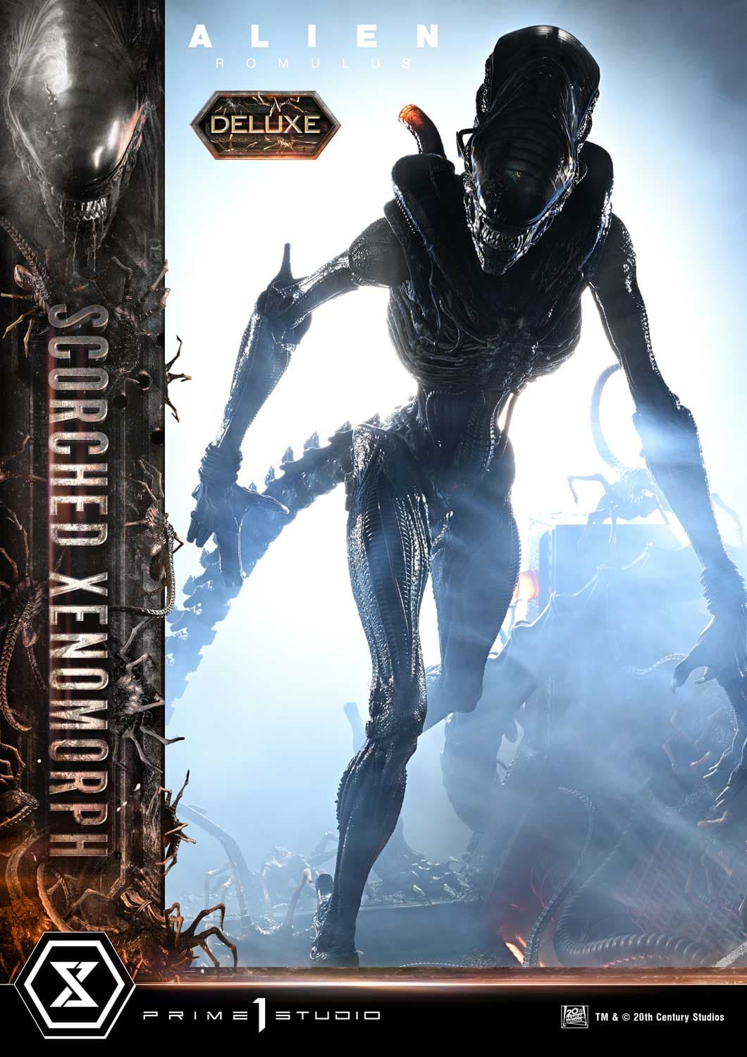 Scorched Xenomorph (Version Deluxe Bonus) - Museum Masterline - Vue 42