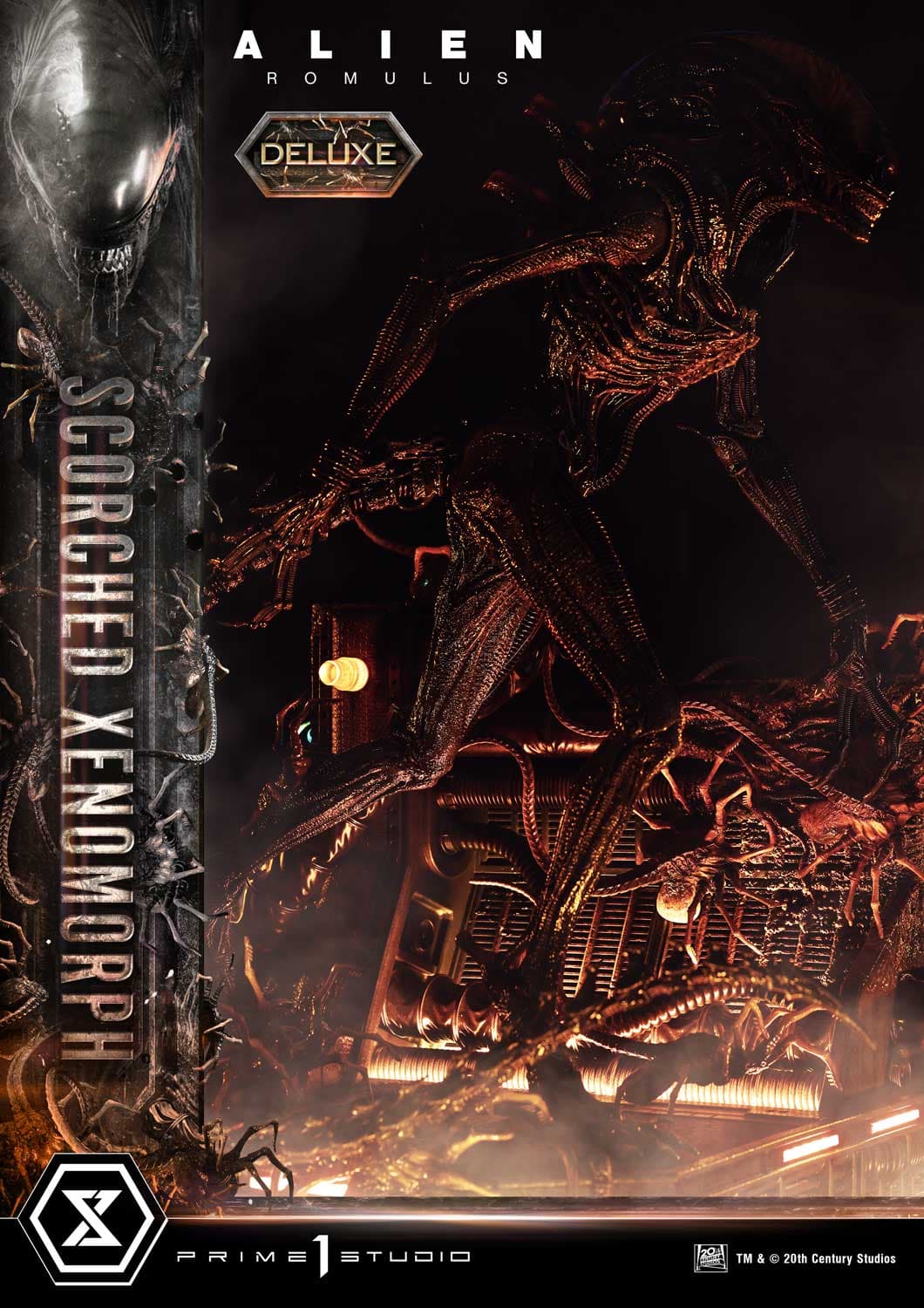 Scorched Xenomorph (Version Deluxe Bonus) - Museum Masterline - Vue 46