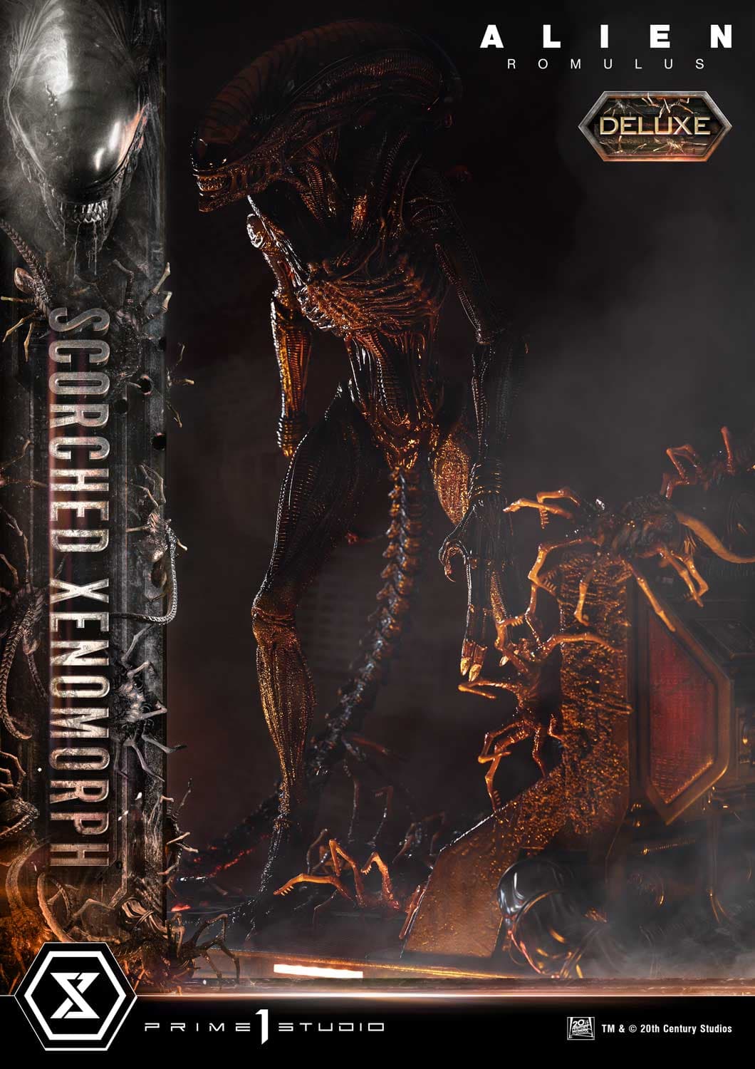 Scorched Xenomorph (Version Deluxe Bonus) - Museum Masterline - Vue 47