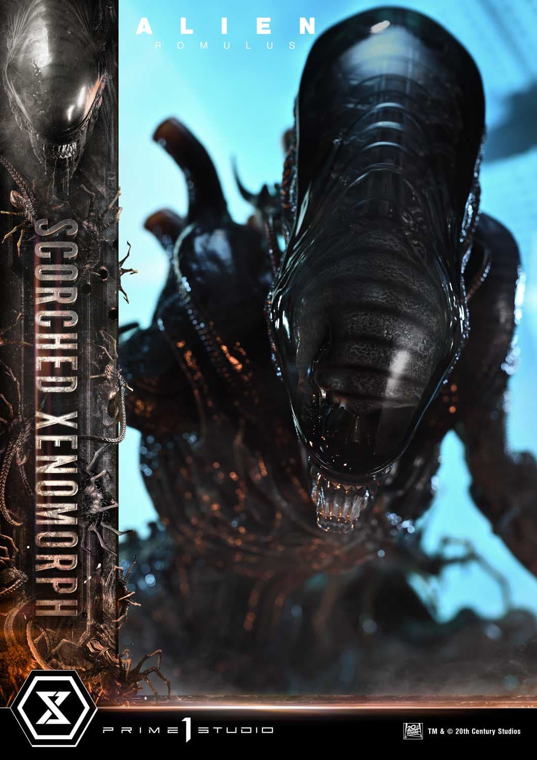 Scorched Xenomorph (Version Deluxe Bonus) - Museum Masterline - Vue 65