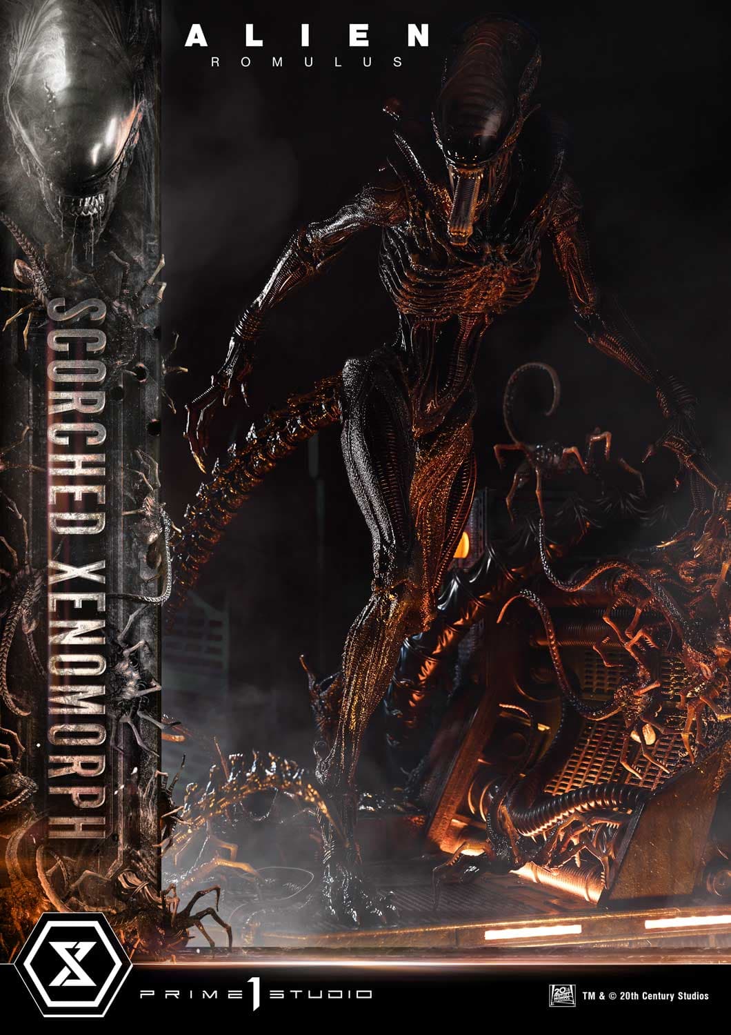 Scorched Xenomorph (Version Deluxe Bonus) - Museum Masterline - Vue 68