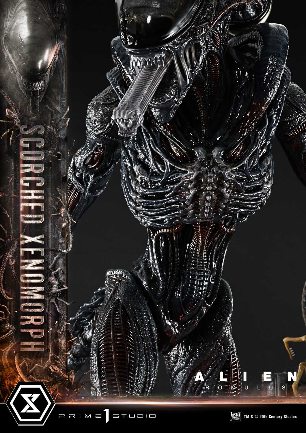 Scorched Xenomorph (Version Deluxe Bonus) - Museum Masterline - Vue 69