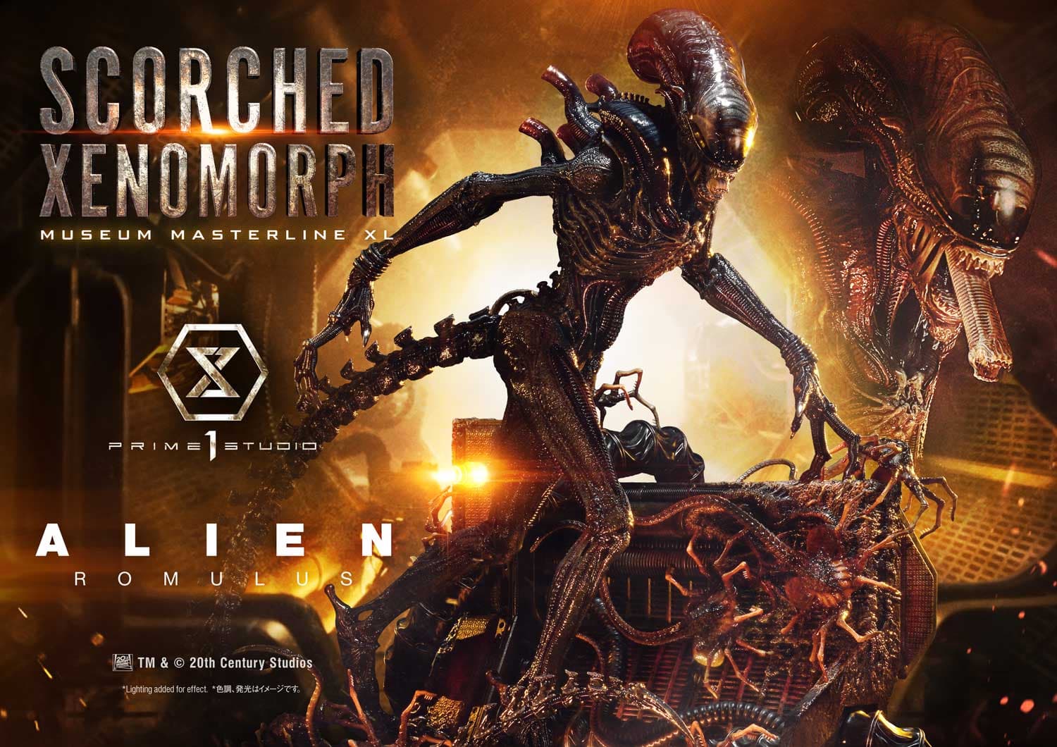 Scorched Xenomorph (Version Regular) - Museum Masterline