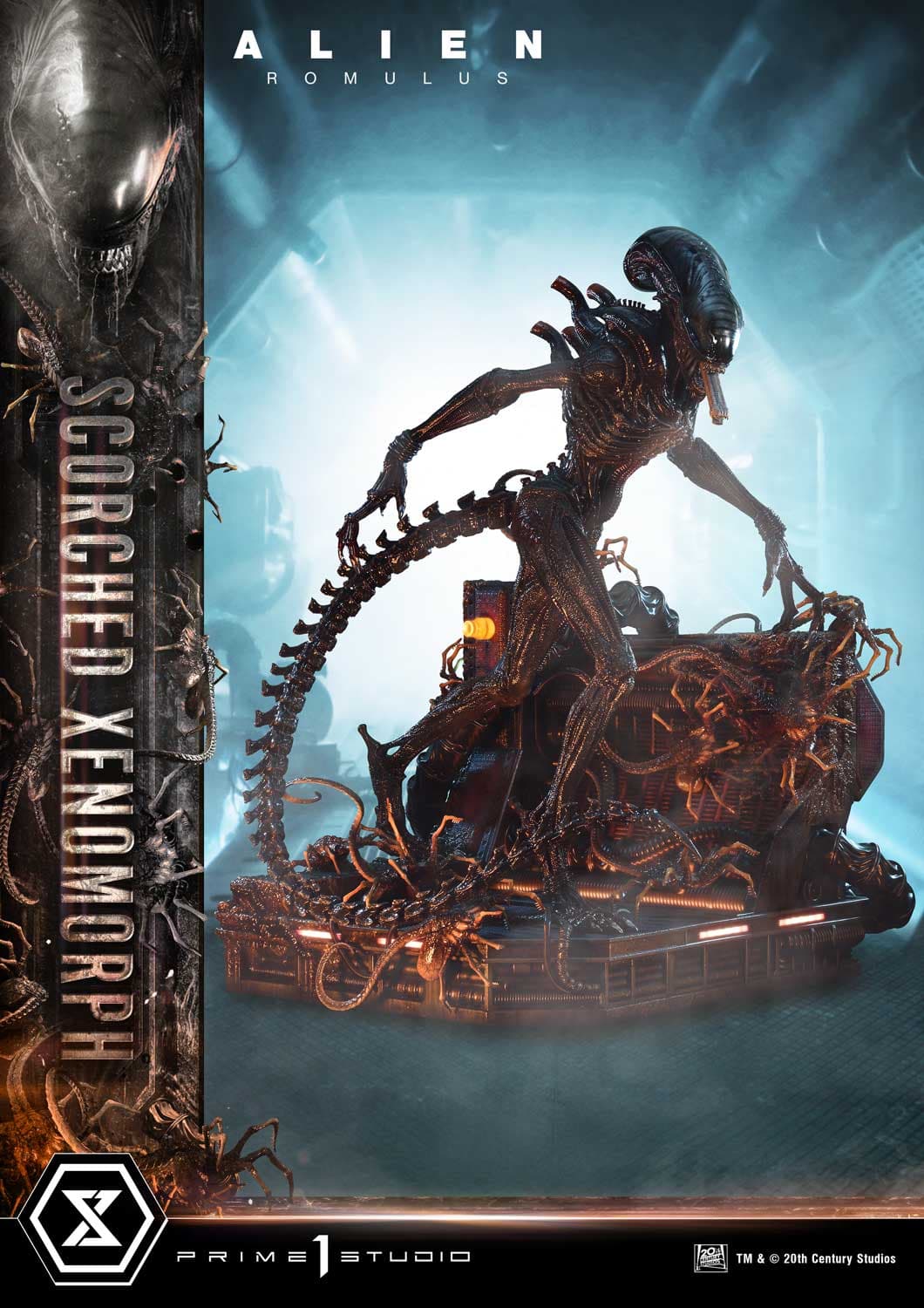 Scorched Xenomorph (Version Regular) - Museum Masterline - Vue 3
