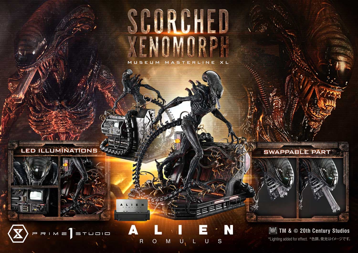 Scorched Xenomorph (Version Regular) - Museum Masterline - Vue 4