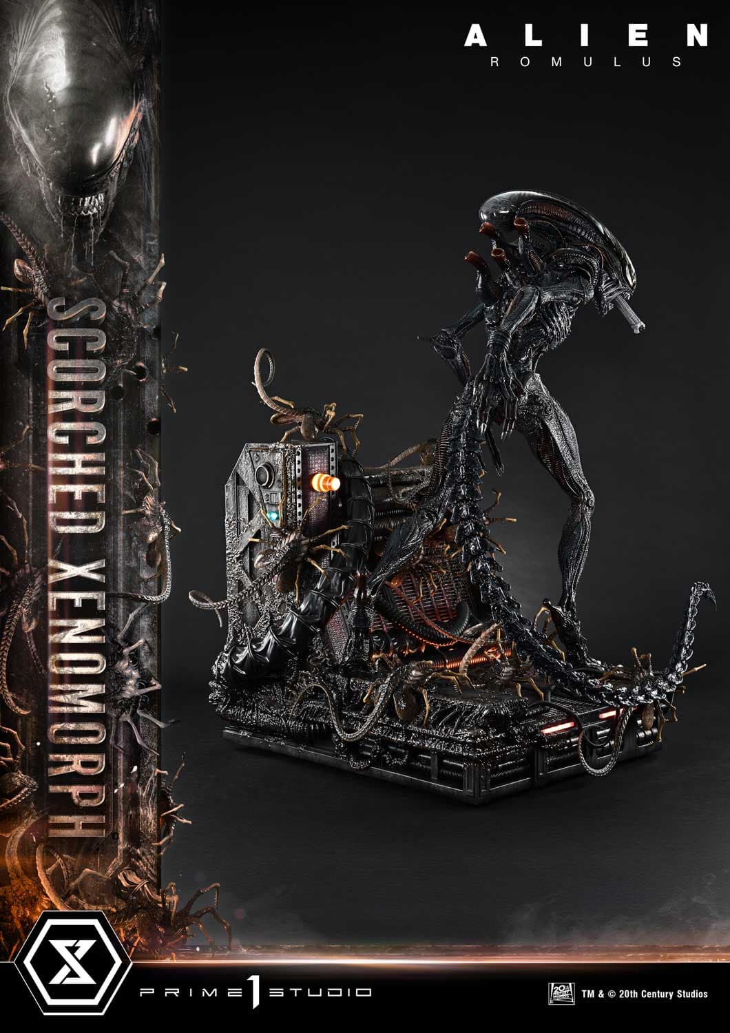 Scorched Xenomorph (Version Regular) - Museum Masterline - Vue 11