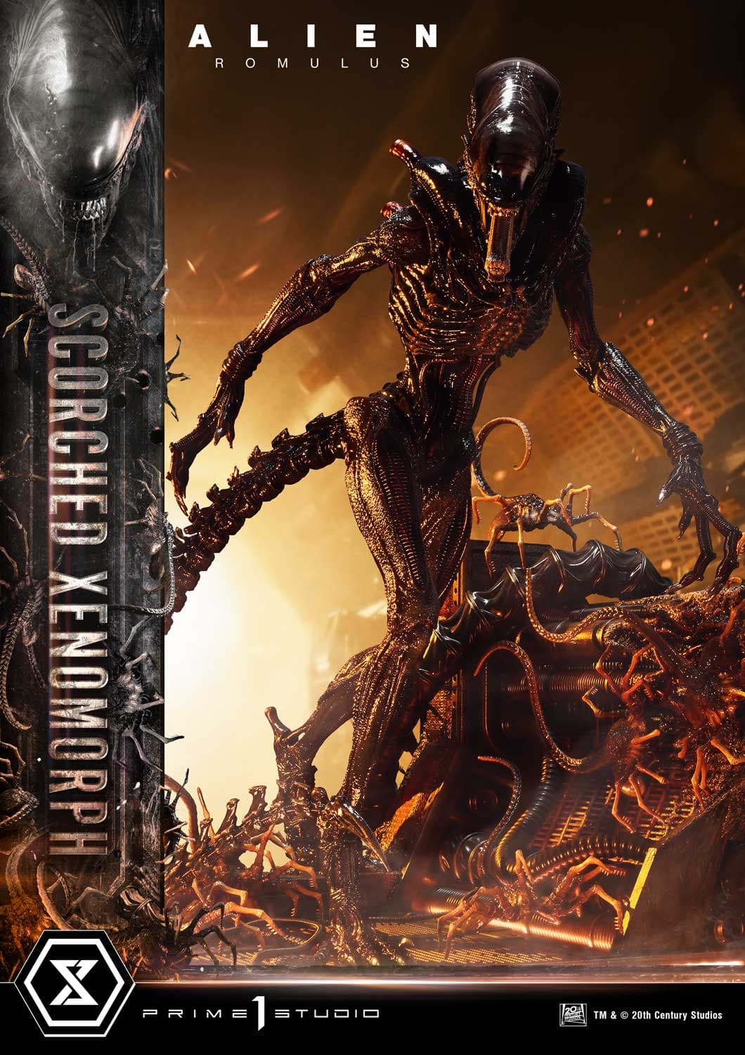 Scorched Xenomorph (Version Regular) - Museum Masterline - Vue 15