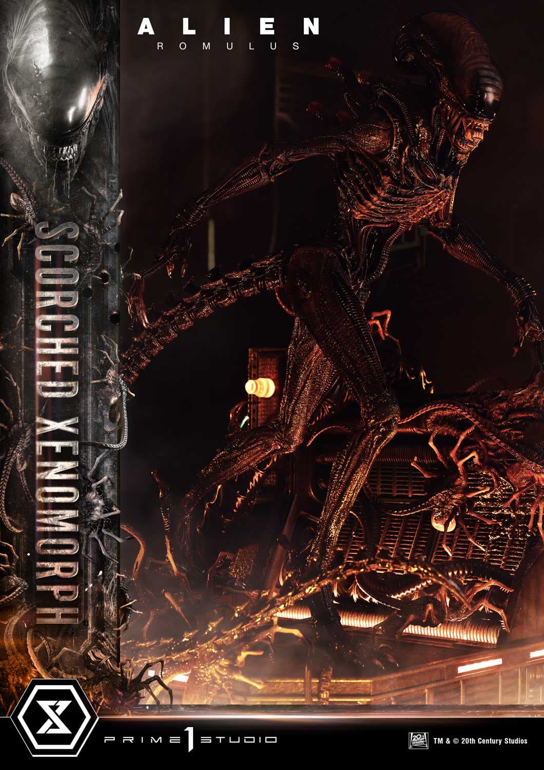 Scorched Xenomorph (Version Regular) - Museum Masterline - Vue 17