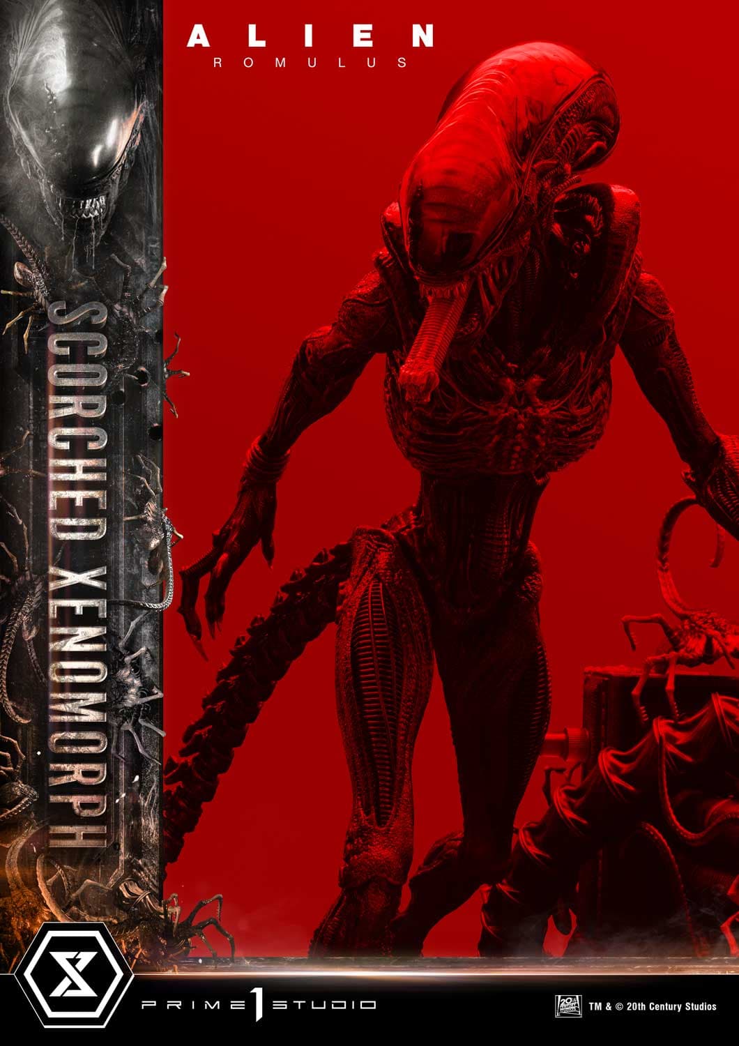 Scorched Xenomorph (Version Regular) - Museum Masterline - Vue 23