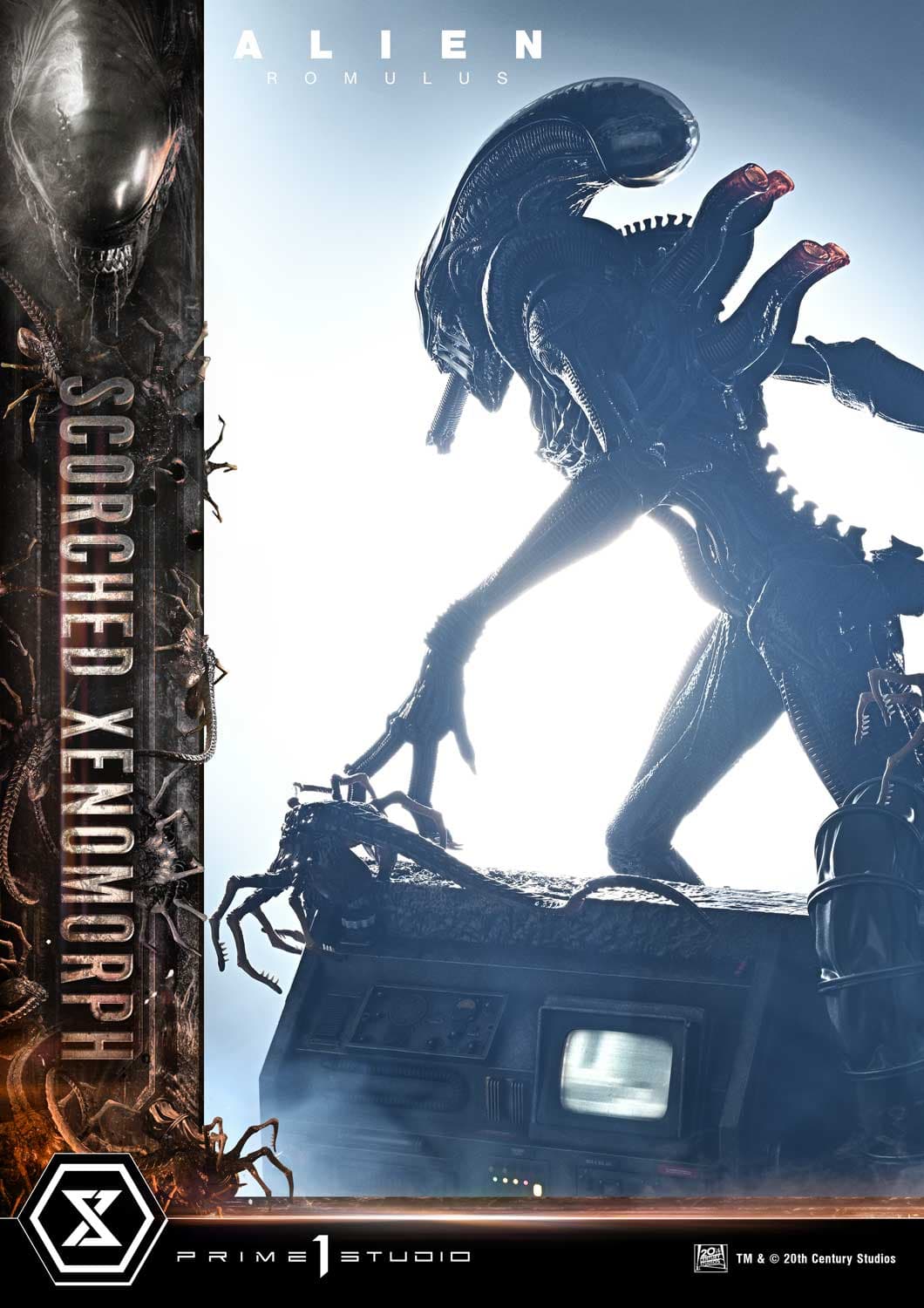 Scorched Xenomorph (Version Regular) - Museum Masterline - Vue 24