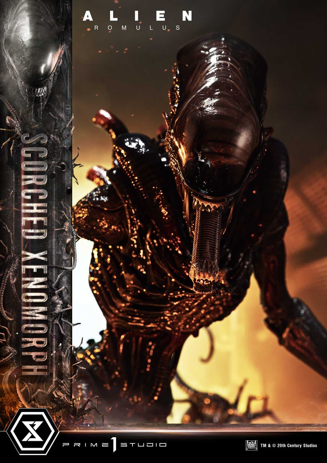 Scorched Xenomorph (Version Regular) - Museum Masterline - Vue 26