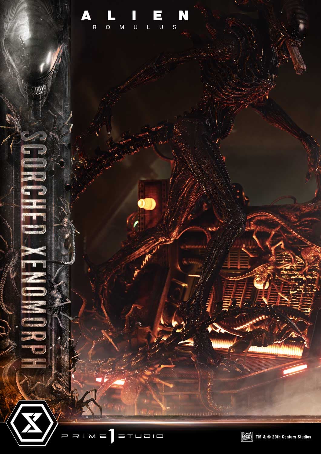 Scorched Xenomorph (Version Regular) - Museum Masterline - Vue 28