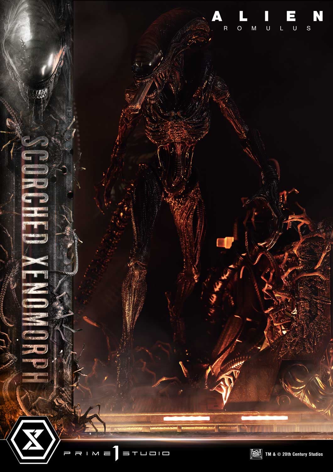Scorched Xenomorph (Version Regular) - Museum Masterline - Vue 29