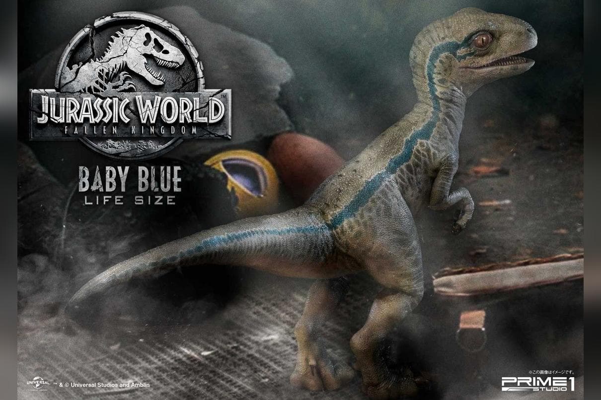 Baby blue life size - legacy museum collection (regular version)