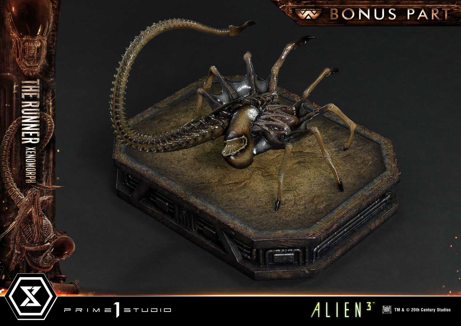 The Runner Xenomorph Dog Alien (Version Deluxe Bonus) - Museum Masterline XL - Vue 7