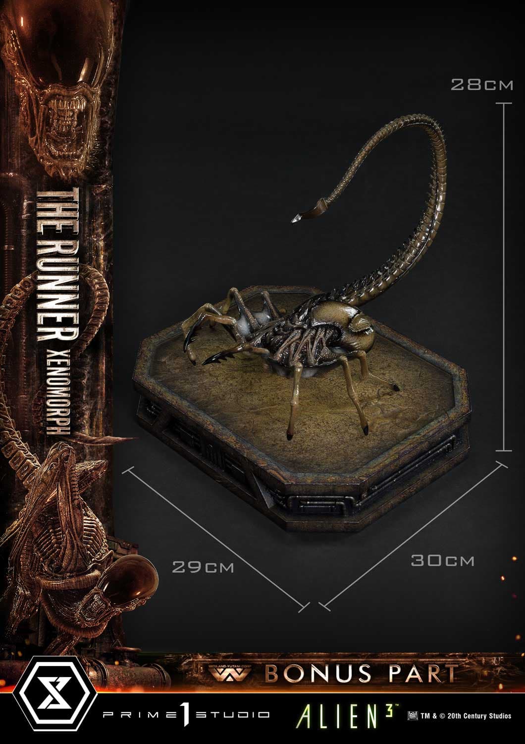 The Runner Xenomorph Dog Alien (Version Deluxe Bonus) - Museum Masterline XL - Vue 8