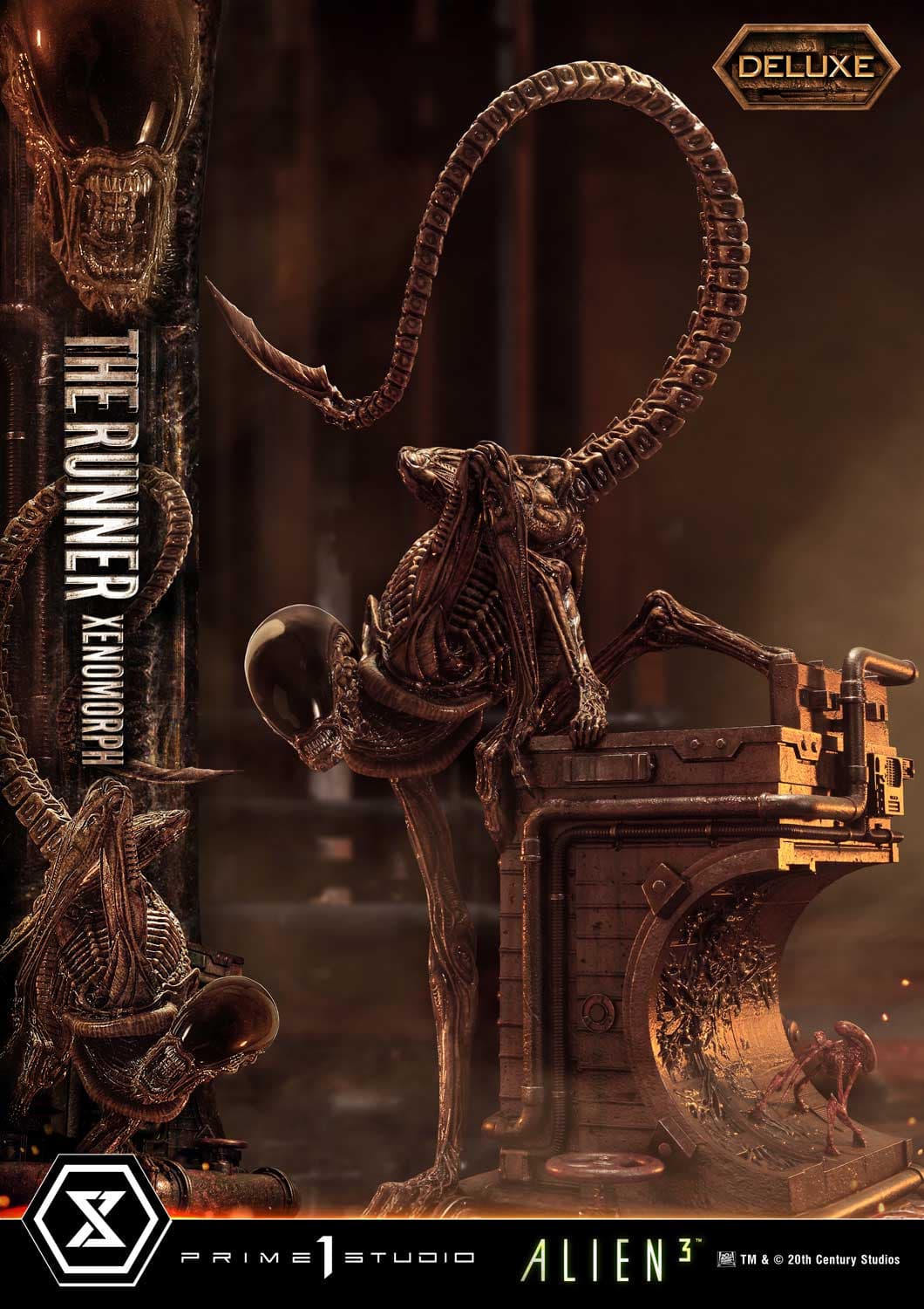 The Runner Xenomorph Dog Alien (Version Deluxe Bonus) - Museum Masterline XL - Vue 10