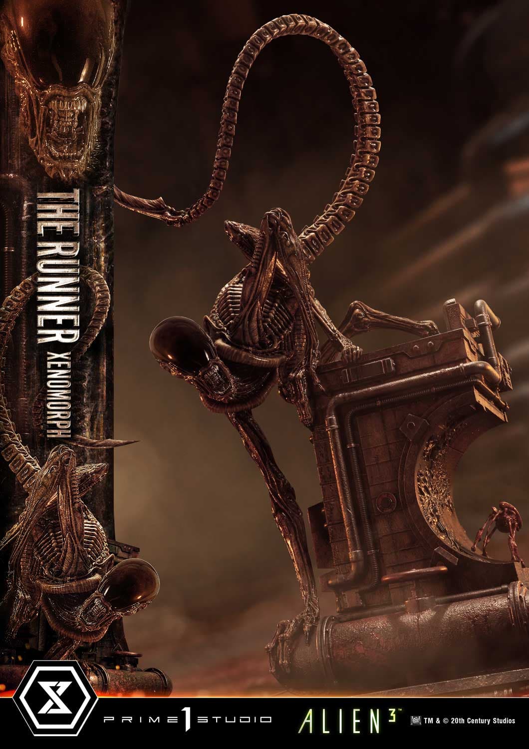 The Runner Xenomorph Dog Alien (Version Deluxe Bonus) - Museum Masterline XL - Vue 14