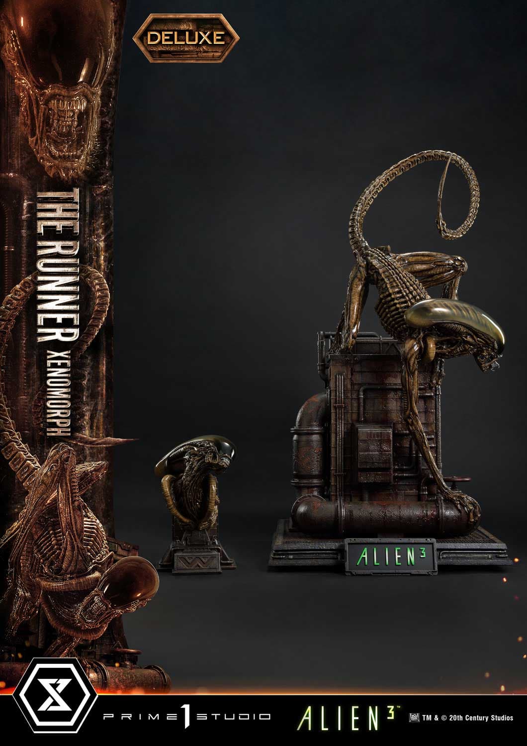 The Runner Xenomorph Dog Alien (Version Deluxe Bonus) - Museum Masterline XL - Vue 18