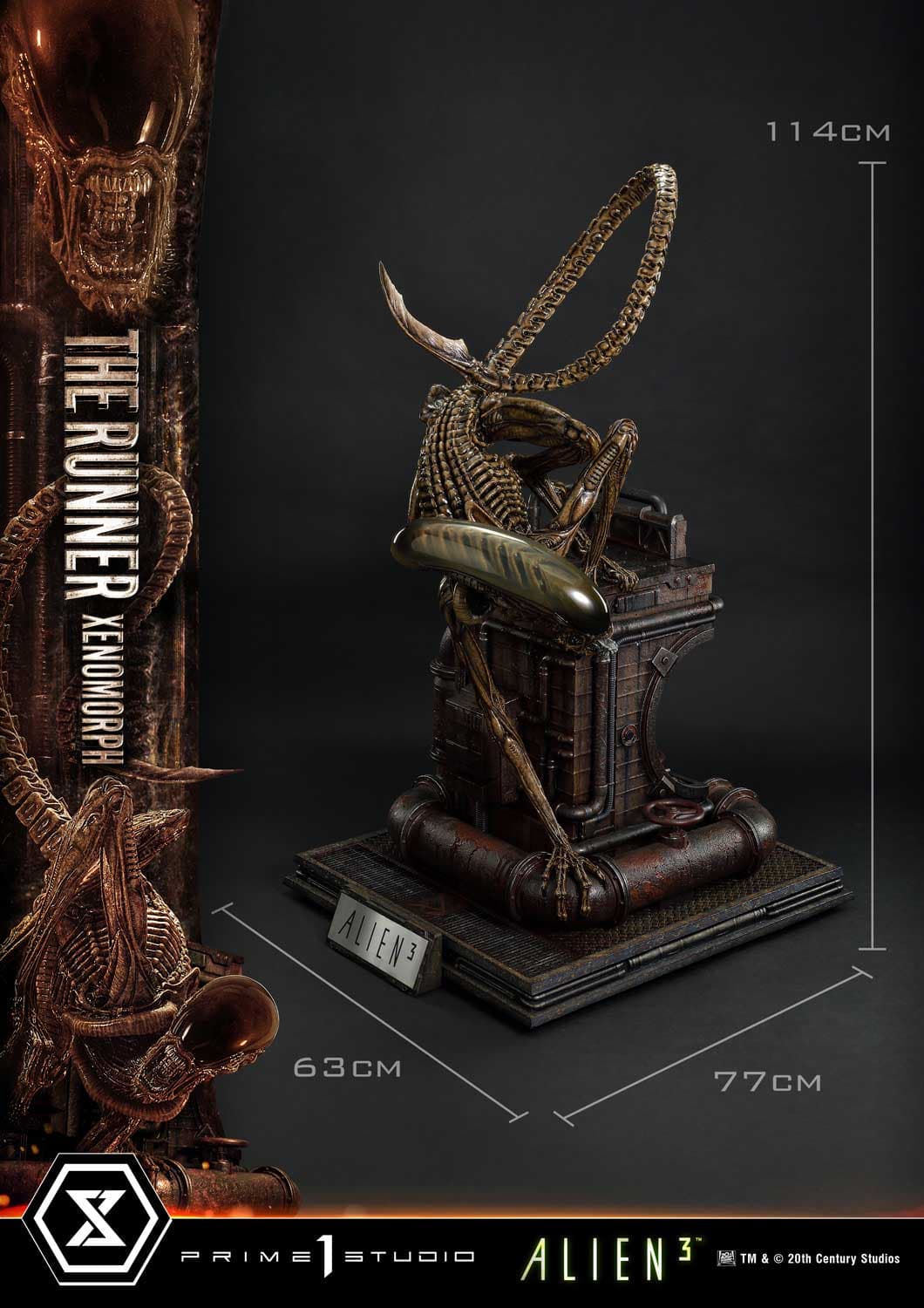 The Runner Xenomorph Dog Alien (Version Deluxe Bonus) - Museum Masterline XL - Vue 22