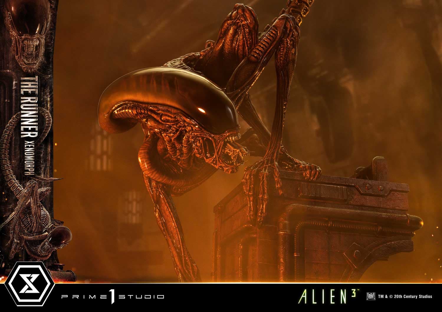 The Runner Xenomorph Dog Alien (Version Deluxe Bonus) - Museum Masterline XL - Vue 28