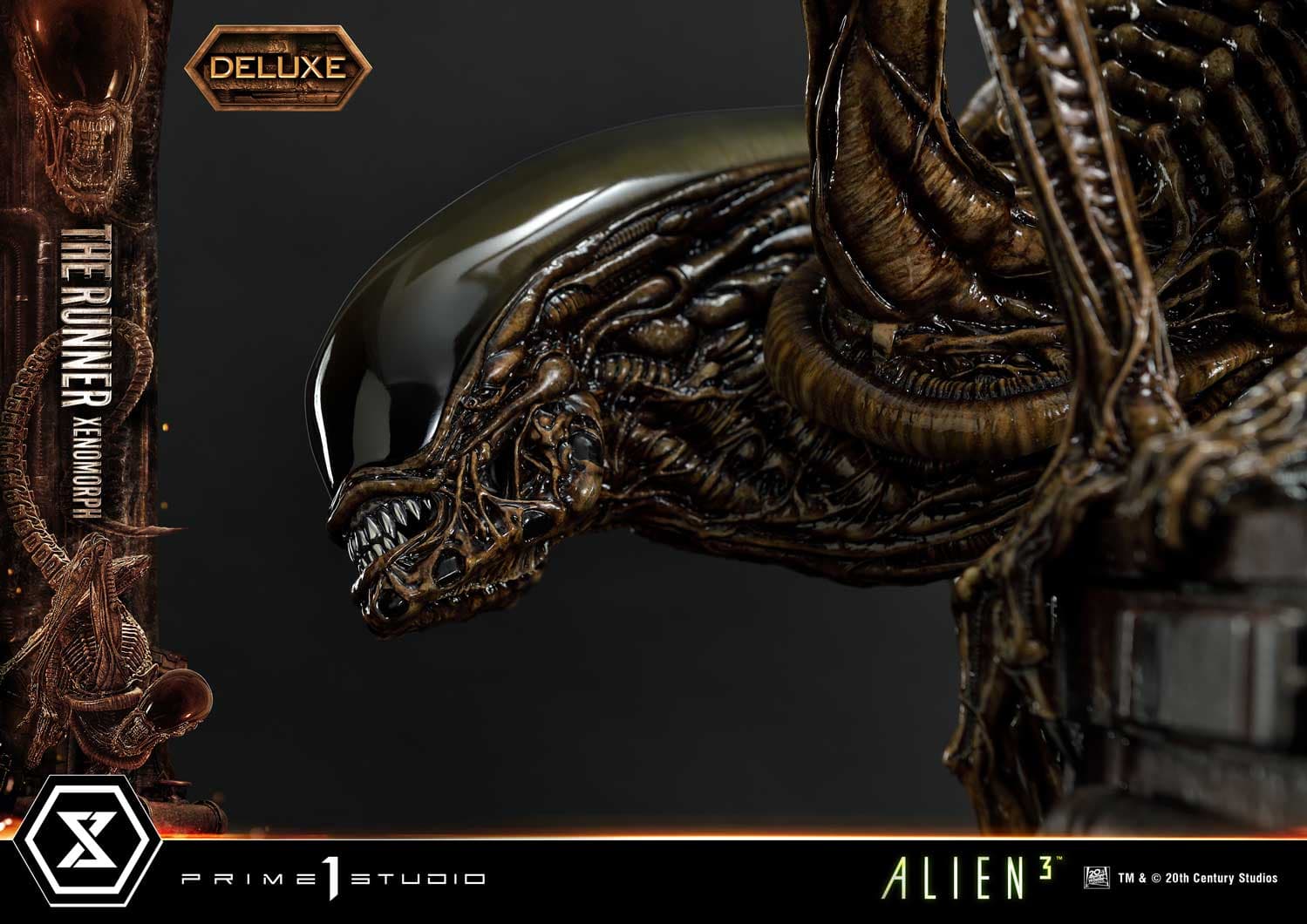 The Runner Xenomorph Dog Alien (Version Deluxe Bonus) - Museum Masterline XL - Vue 33