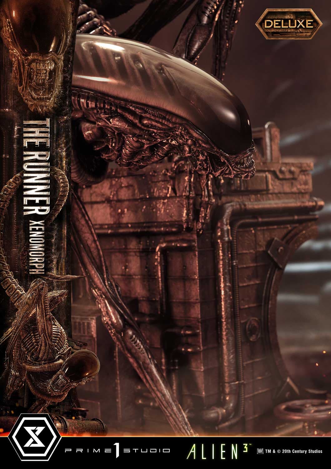 The Runner Xenomorph Dog Alien (Version Deluxe Bonus) - Museum Masterline XL - Vue 42