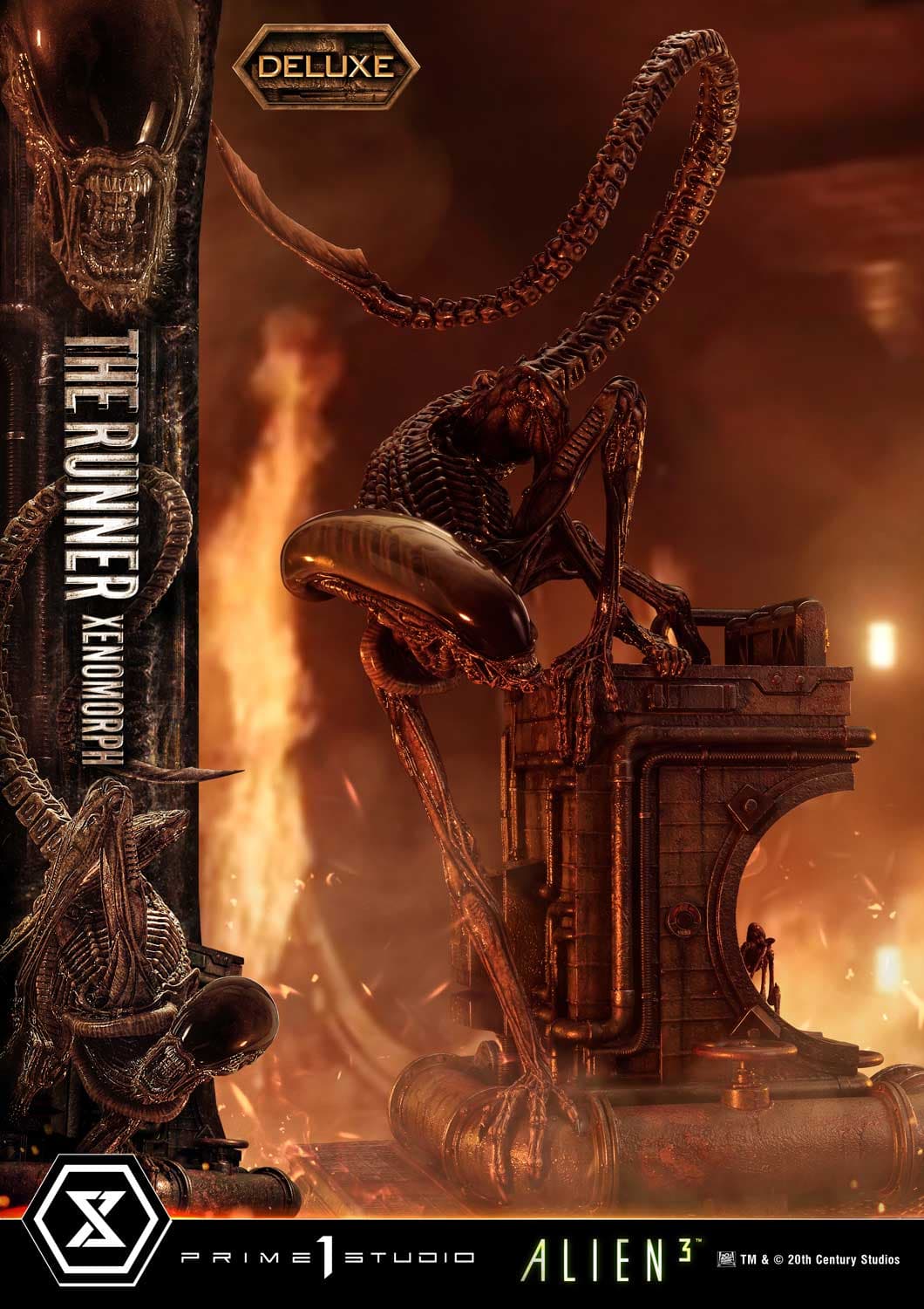 The Runner Xenomorph Dog Alien (Version Deluxe Bonus) - Museum Masterline XL - Vue 43