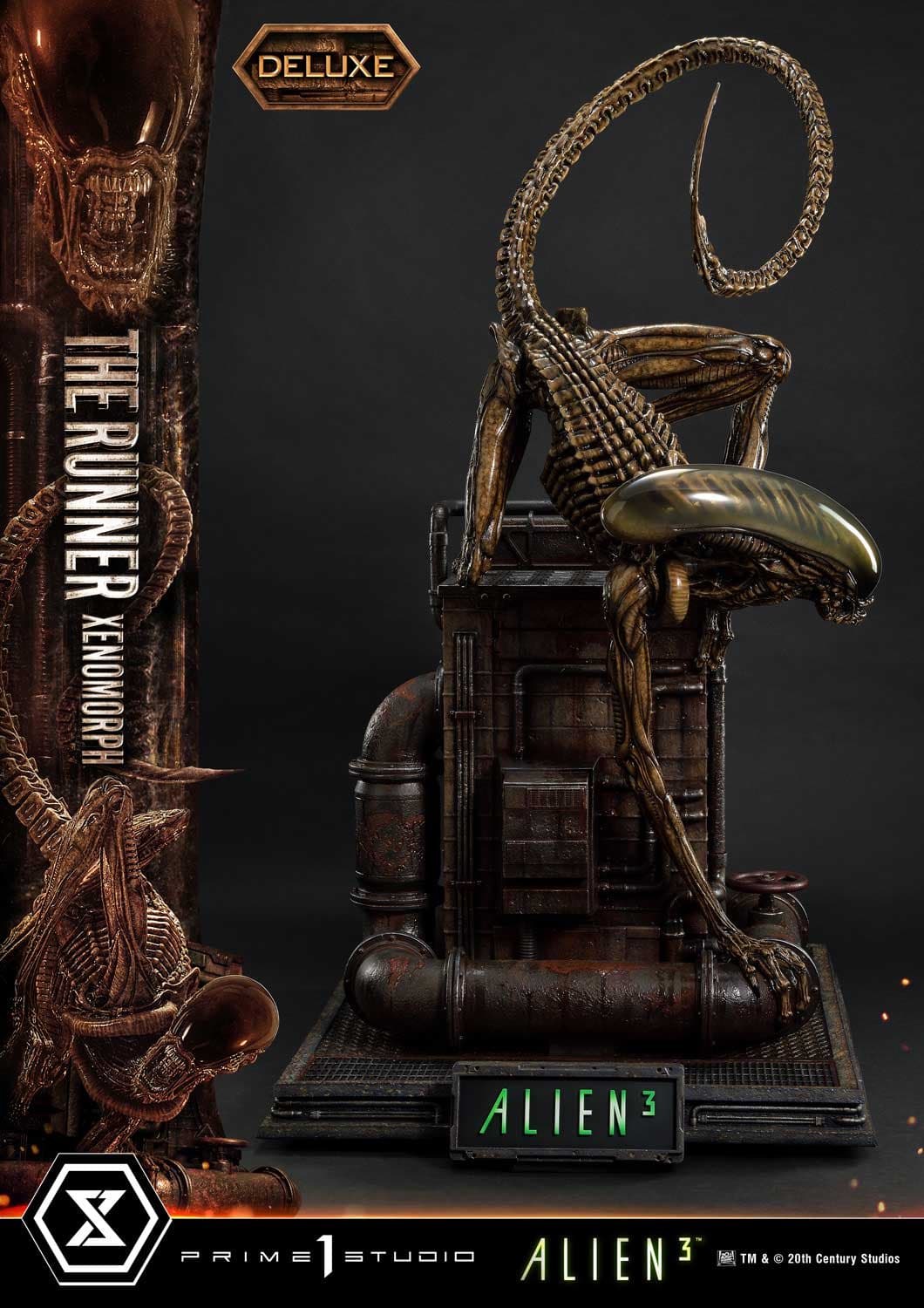 The Runner Xenomorph Dog Alien (Version Deluxe Bonus) - Museum Masterline XL - Vue 45