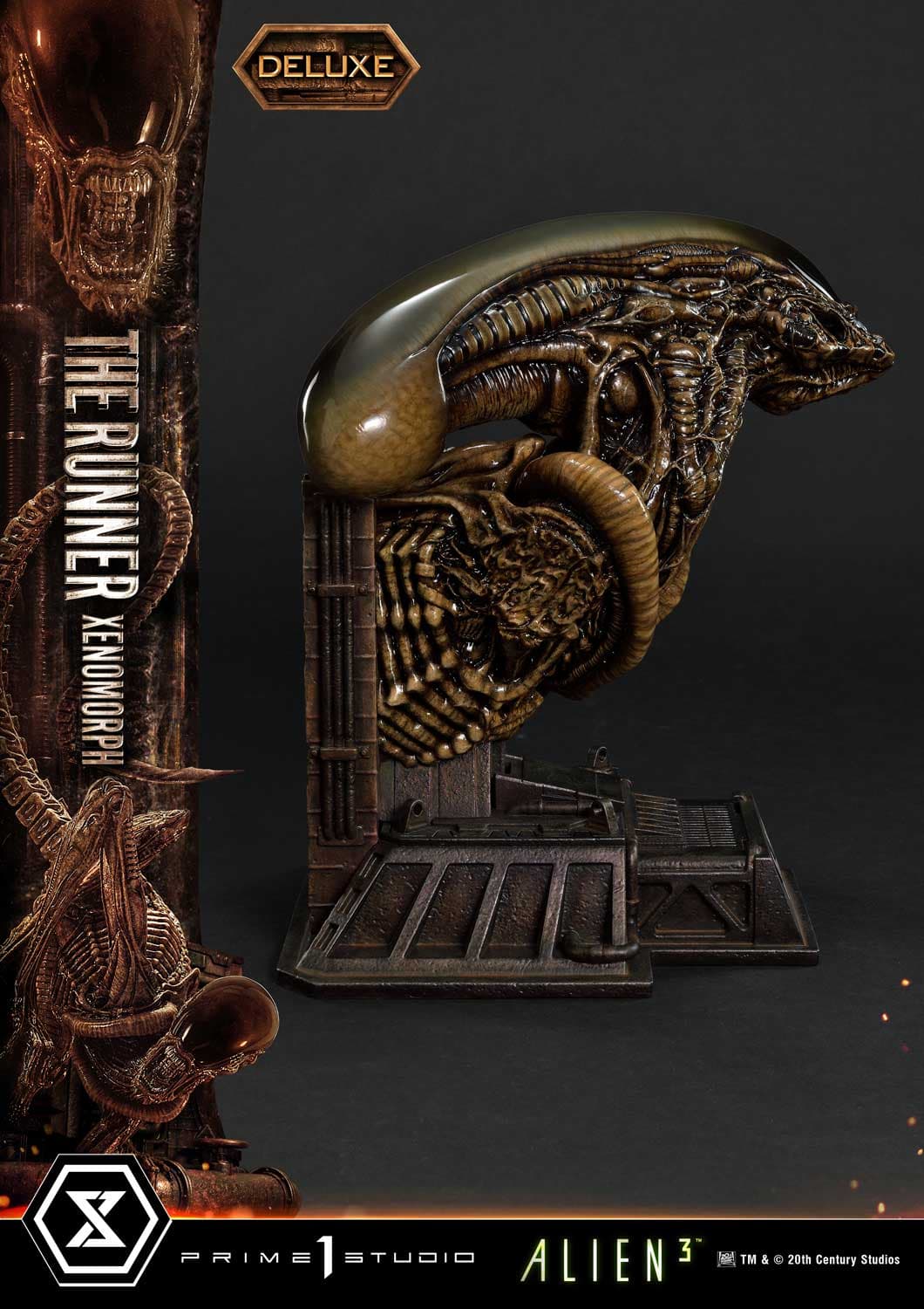 The Runner Xenomorph Dog Alien (Version Deluxe Bonus) - Museum Masterline XL - Vue 47