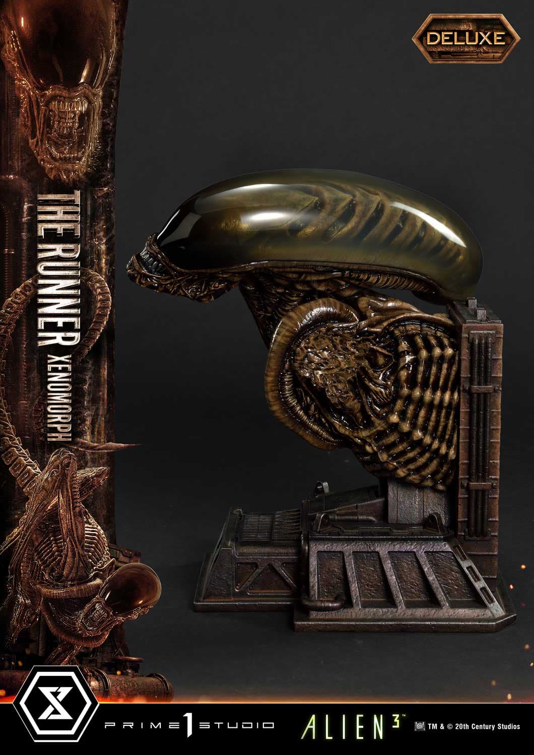 The Runner Xenomorph Dog Alien (Version Deluxe Bonus) - Museum Masterline XL - Vue 49