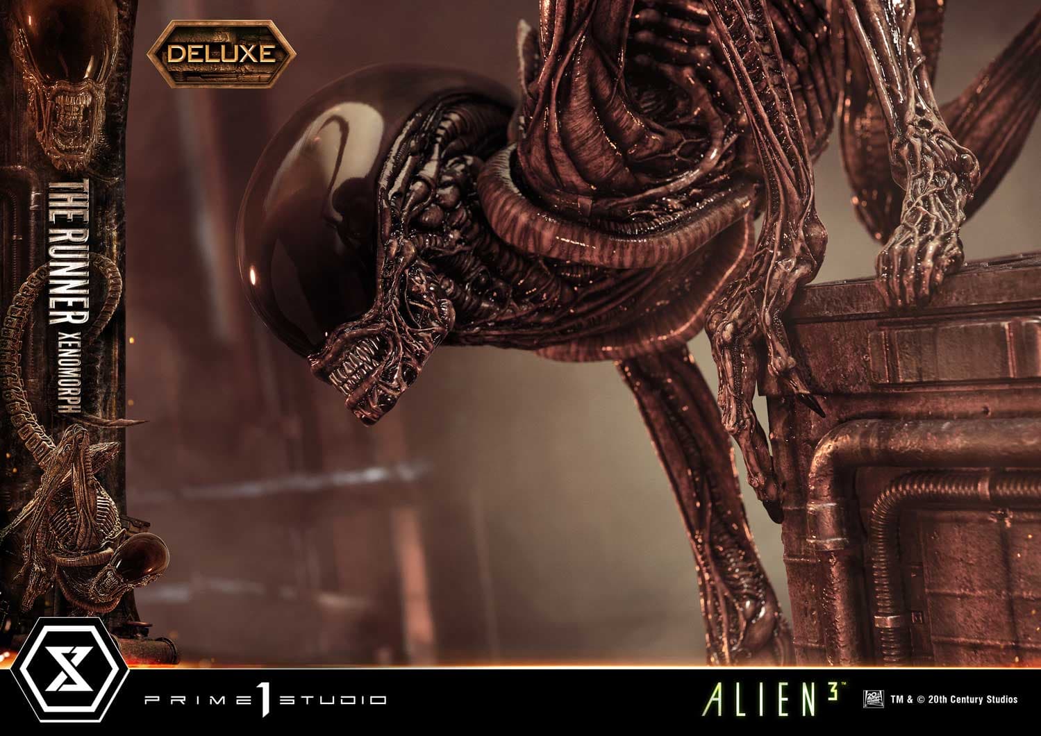 The Runner Xenomorph Dog Alien (Version Deluxe Bonus) - Museum Masterline XL - Vue 51