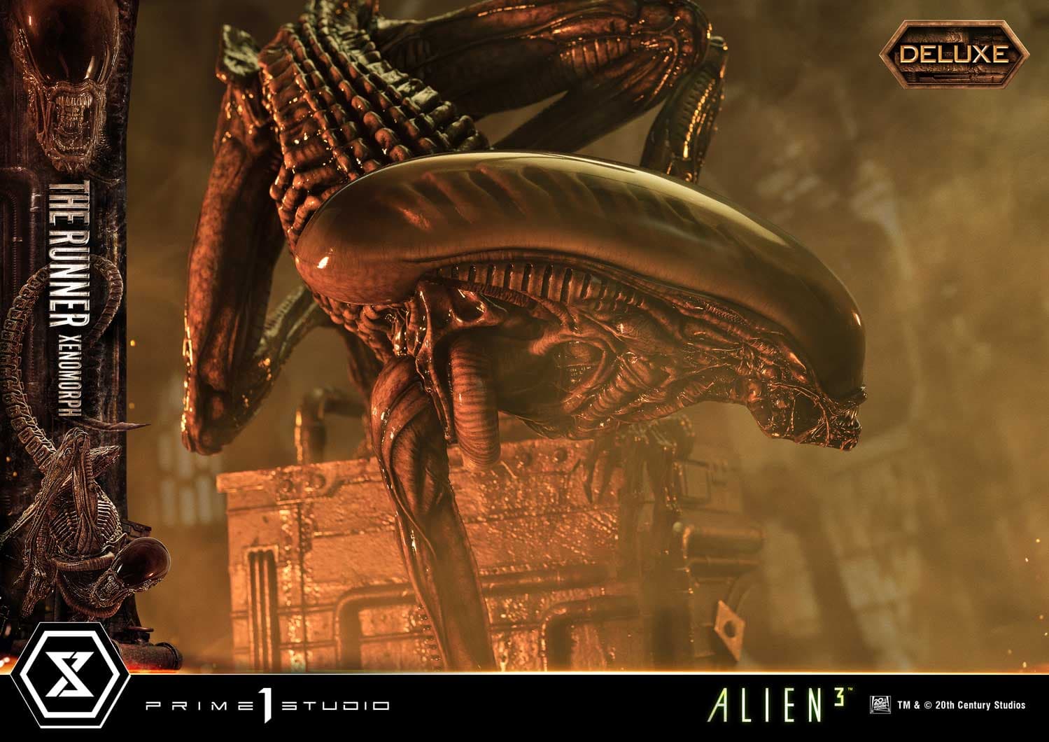 The Runner Xenomorph Dog Alien (Version Deluxe Bonus) - Museum Masterline XL - Vue 54