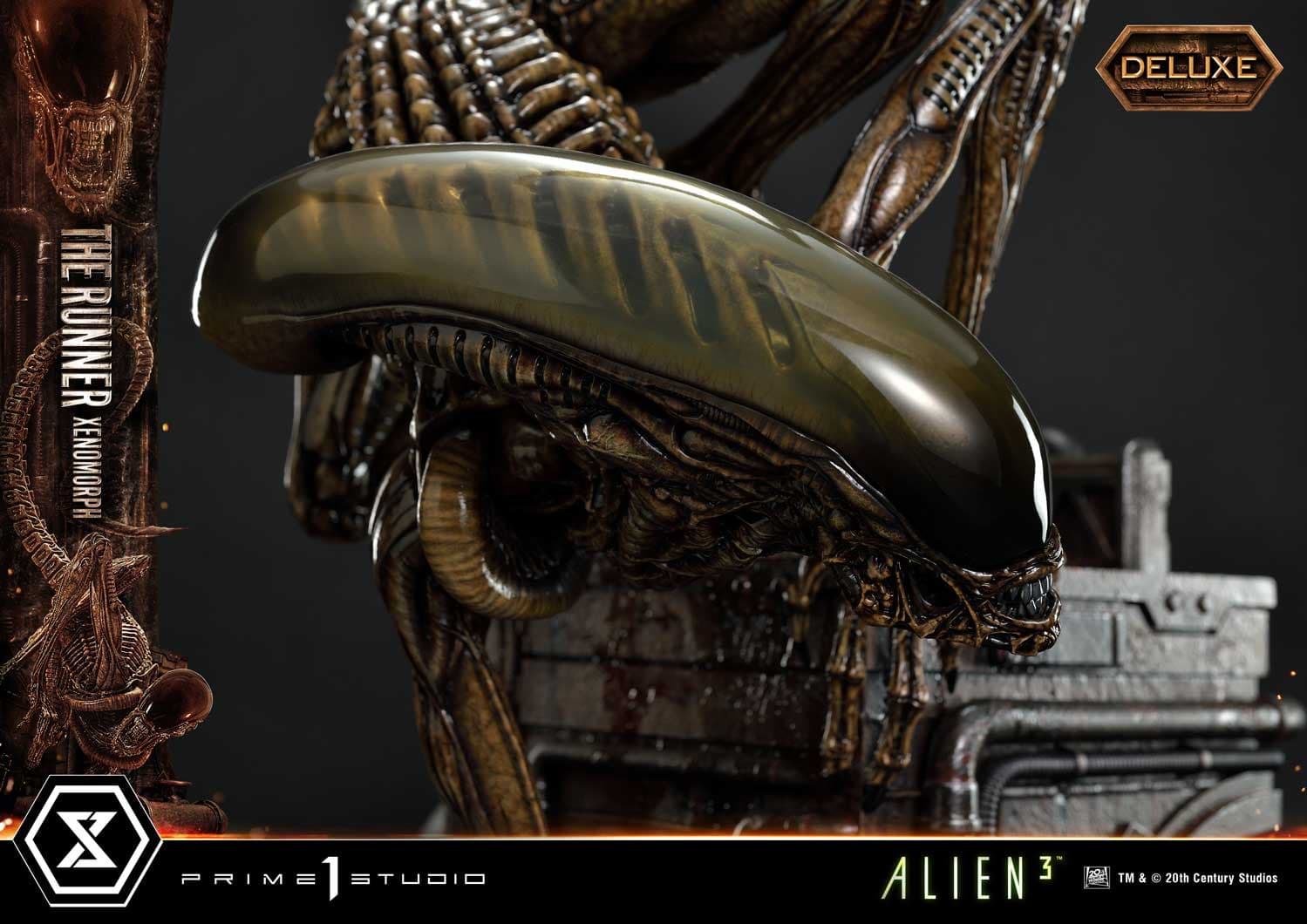 The Runner Xenomorph Dog Alien (Version Deluxe Bonus) - Museum Masterline XL - Vue 55